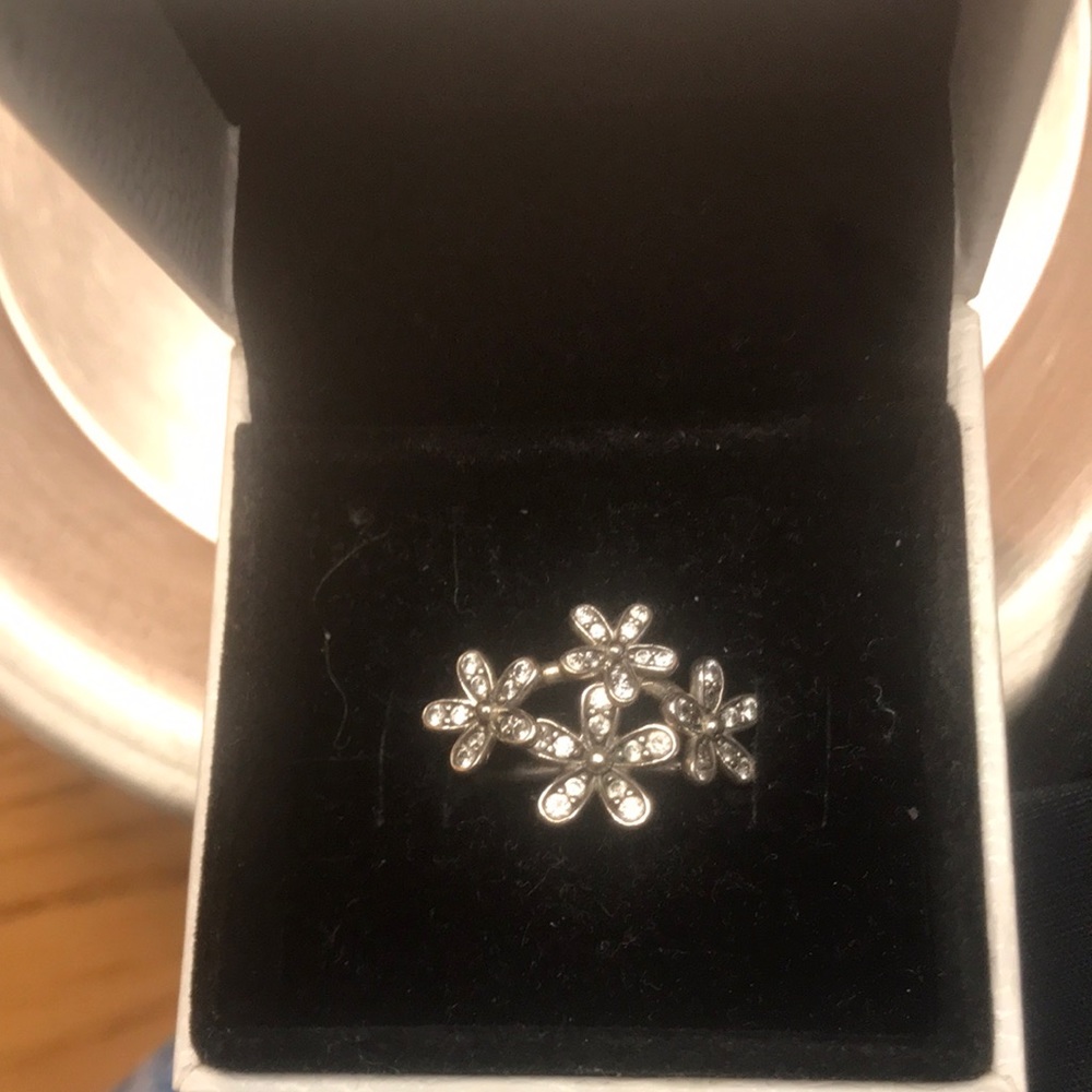 Pandora Daisy Ring set